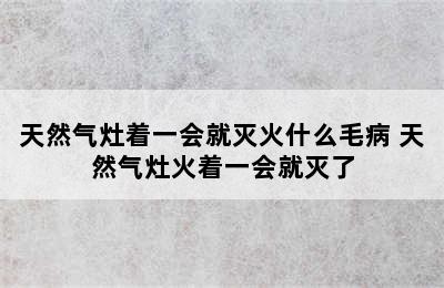 天然气灶着一会就灭火什么毛病 天然气灶火着一会就灭了